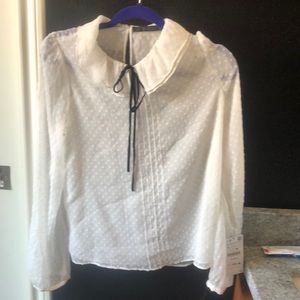 Nwt Zara translucent blouse ribbon bow polka l